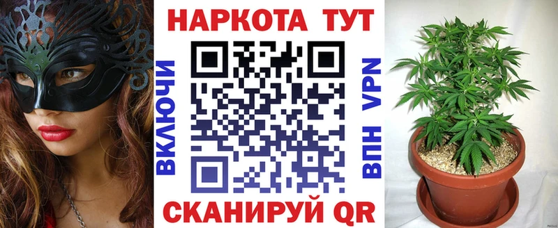 Названия наркотиков Судак Бошки Шишки АМФ COCAIN ГАШИШ Меф