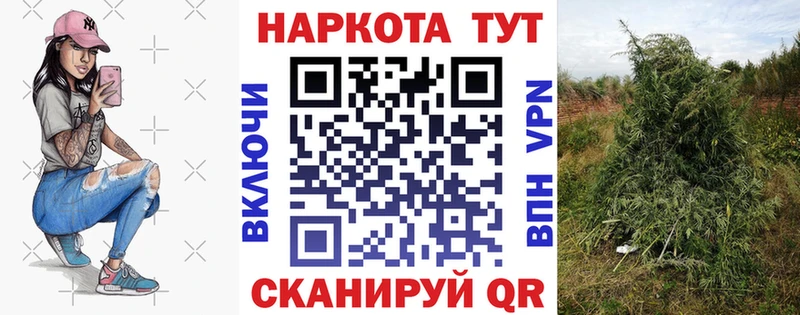Бутират Судак