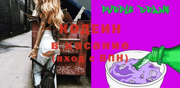шишки Покачи